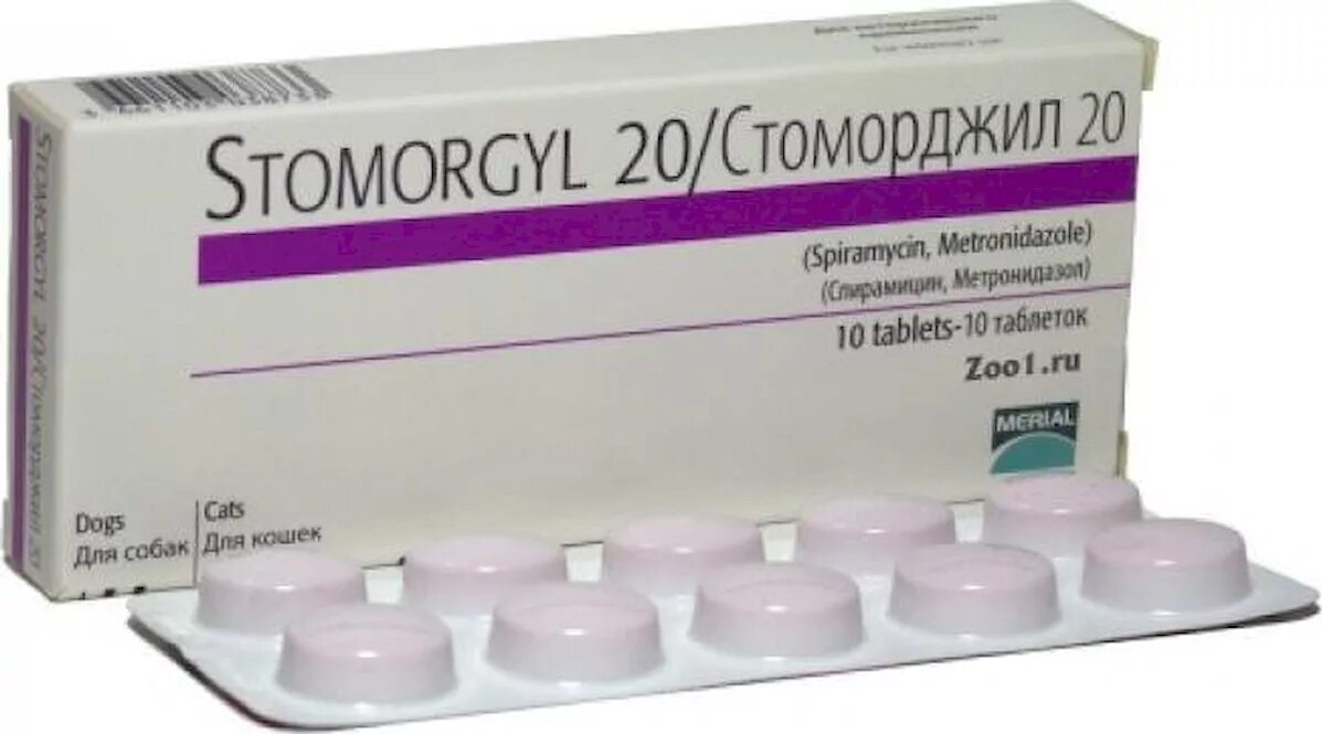 Стоморджил 20 мг (10 таб.). Стоморджил 10мг 20тб. Стоморджил 5 мг. Bi Стоморджил 20 мг х 10 таб.. Стоморджил 10 купить