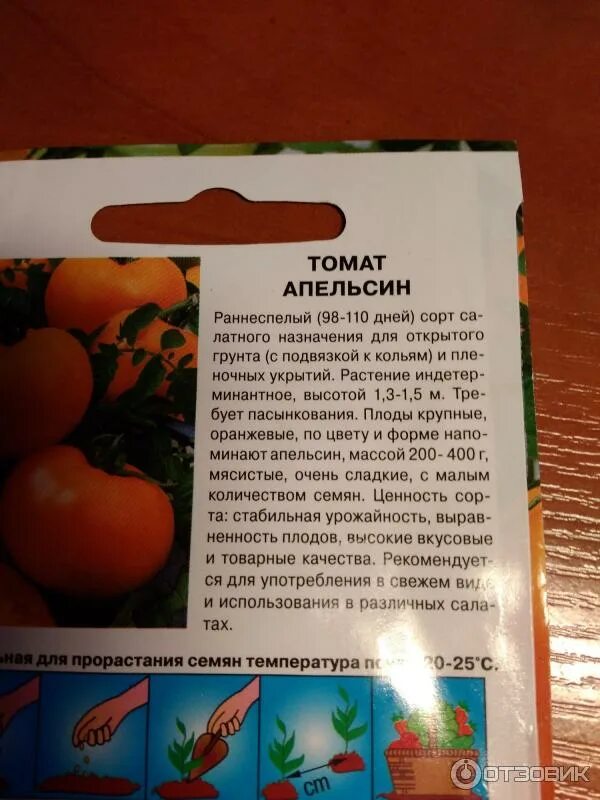 Семена томата апельсин. Семена томат апельсин СЕДЕК. Помидоры апельсин описание. Урожайность томата апельсин