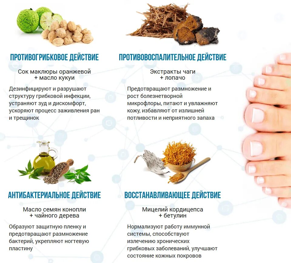 Соберите информацию о грибковых заболеваниях. Противогрибковые продукты питания. Противогрибковая диета. Продукты с антигрибковым действием. Растительные противогрибковые травы.