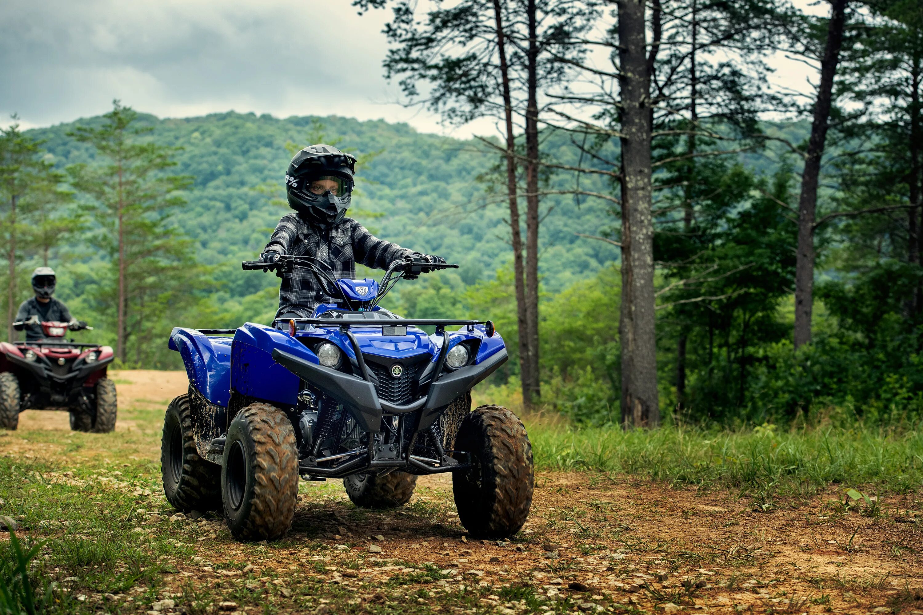 Со скольки лет можно квадроцикл детям. Ямаха Гризли 300. Yamaha Grizzly 300. Квадроцикл Yamaha Grizzly 300. Yamaha Grizzly 700 2016.