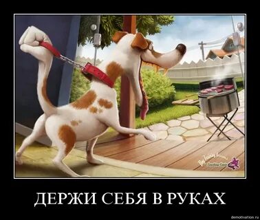 Не держатся