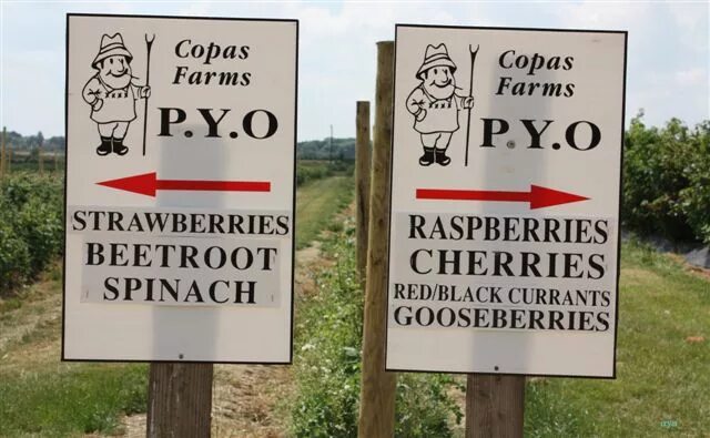 Хоть налево хоть направо. Хоть налево хоть направо. Сходить налево. Идти налево. Налево пойдешь направо пойдешь.