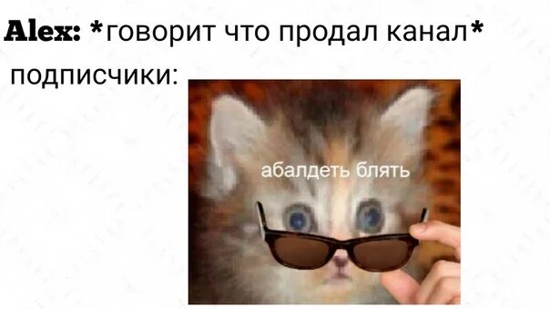 Мем с котом блять เ ว ร ก ช อ ป บ น Steam::RUS Коллекция для шизов (OLD)