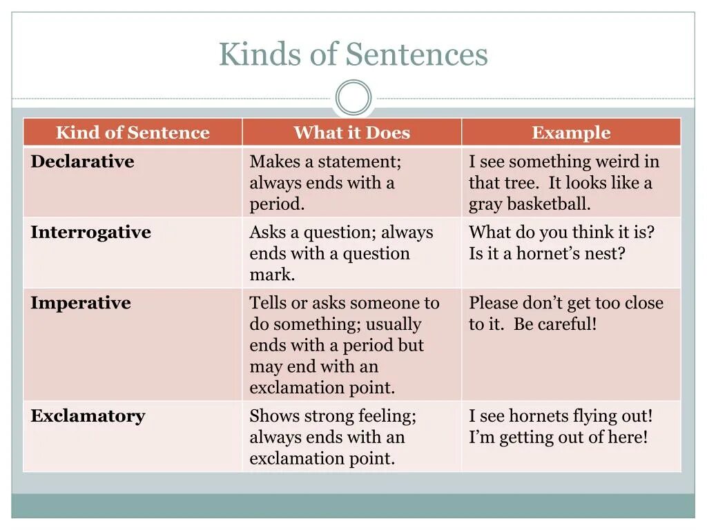 Types of sentences. Kinds of sentences. Sentences in English. Types of sentences declarative.