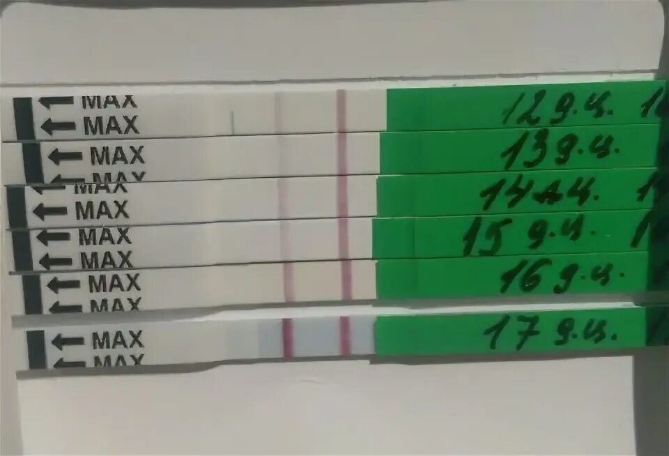 Тест на овуляцию показал слабую. Динамика тестов на овуляцию овуплан. Тест на овуляцию OVUPLAN. Тесты овуплан динамика. Положительная полоска на овуляцию.