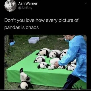 Панда пандемия