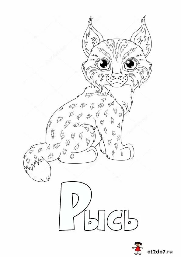 буква р рысь. животные на букву р. рысь стих буква р. азбука р рысь. рысь рисунок.