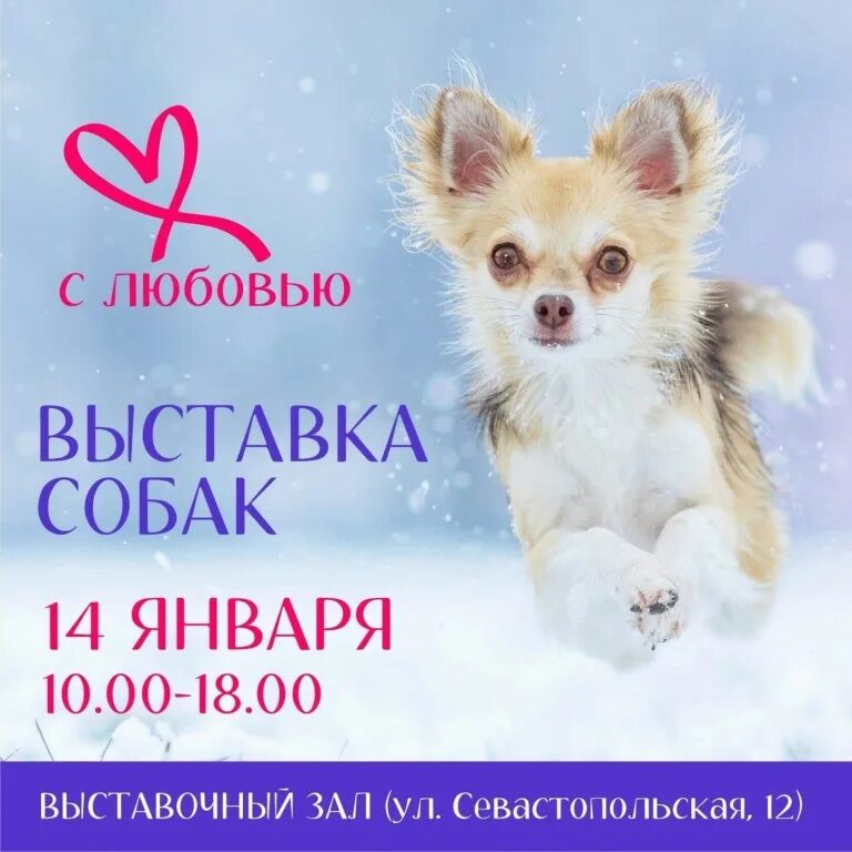 выставка кошек ишим