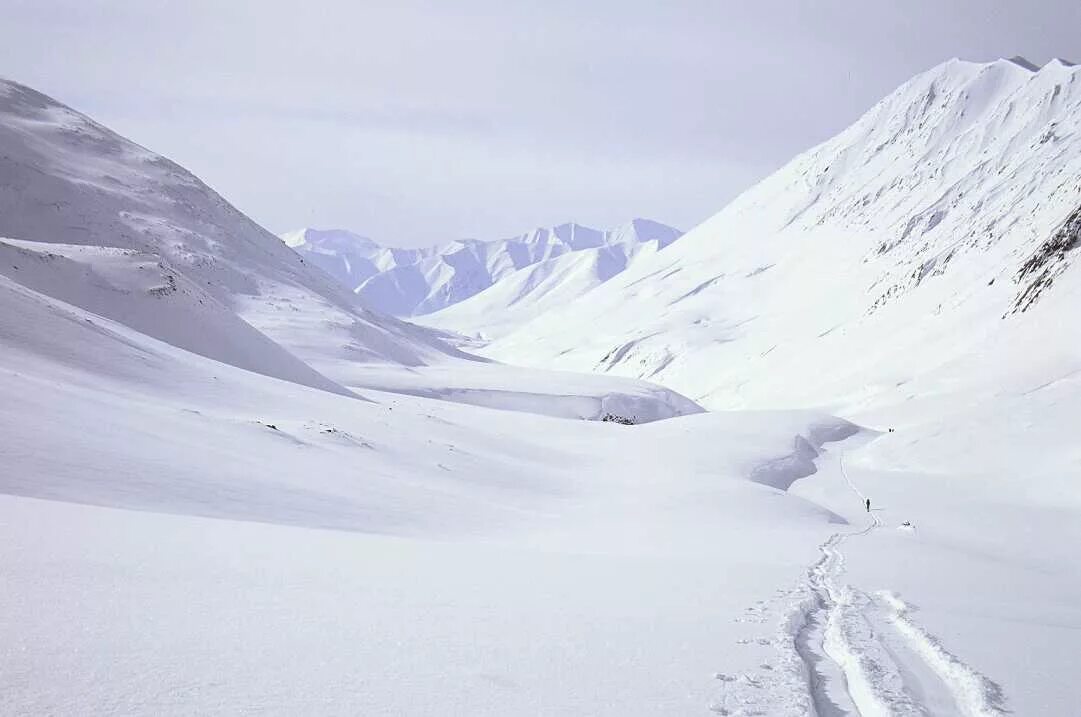 верхоянский хребет ископаемые. верхоянский хребет ископаемые. названия форм рельефа. верхоянский хребет полезные ископаемые. верхоянский хребет.