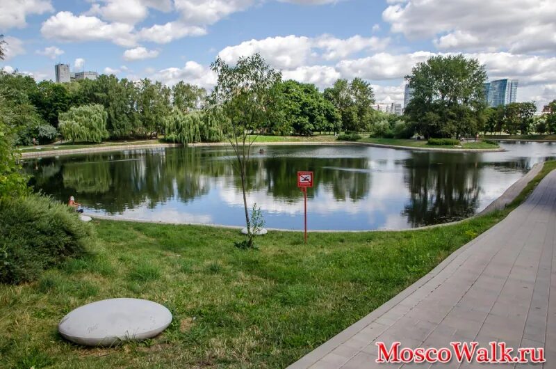 пруд поселок селятино. метро пионерская, мазиловский пруд. какие московские пруды назывались пионерскими. парк дружбы фестивальные пруды. сколько прудов в парке дружба в москве.