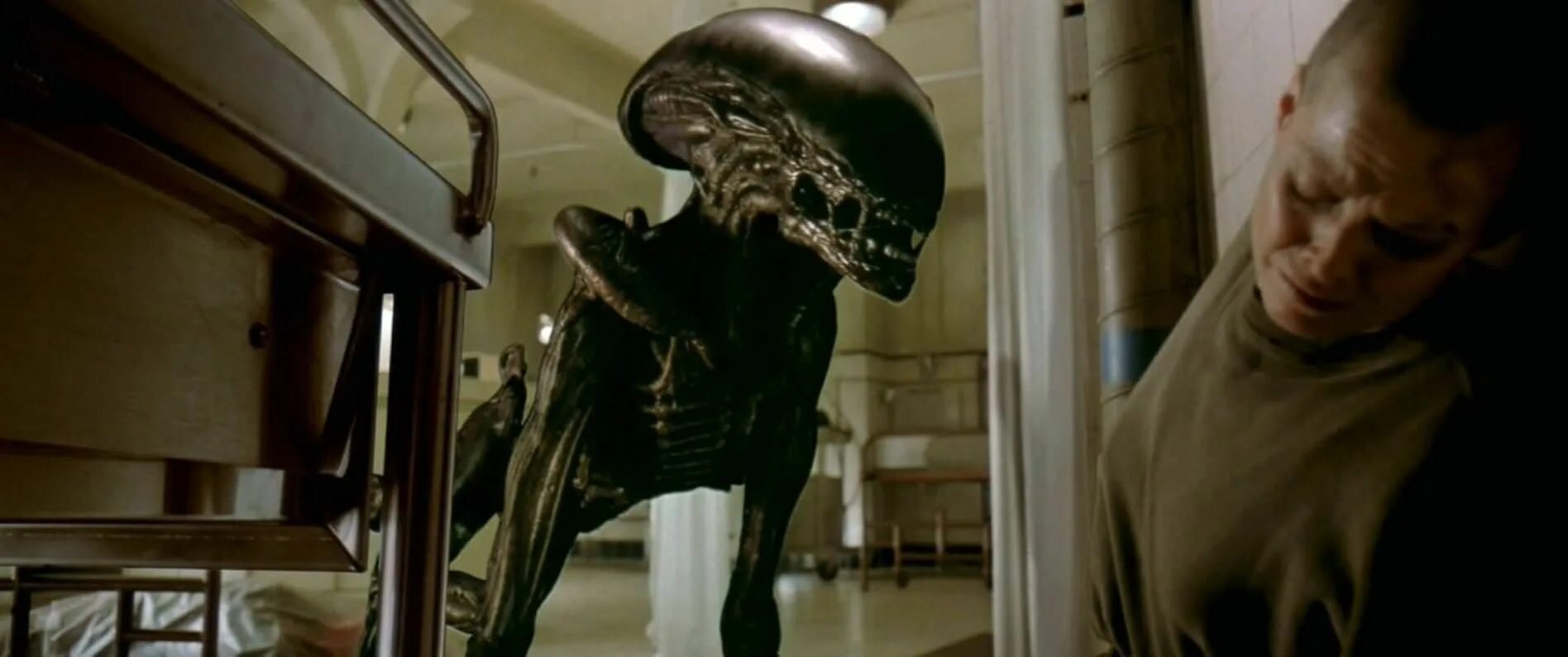 It is a alien
