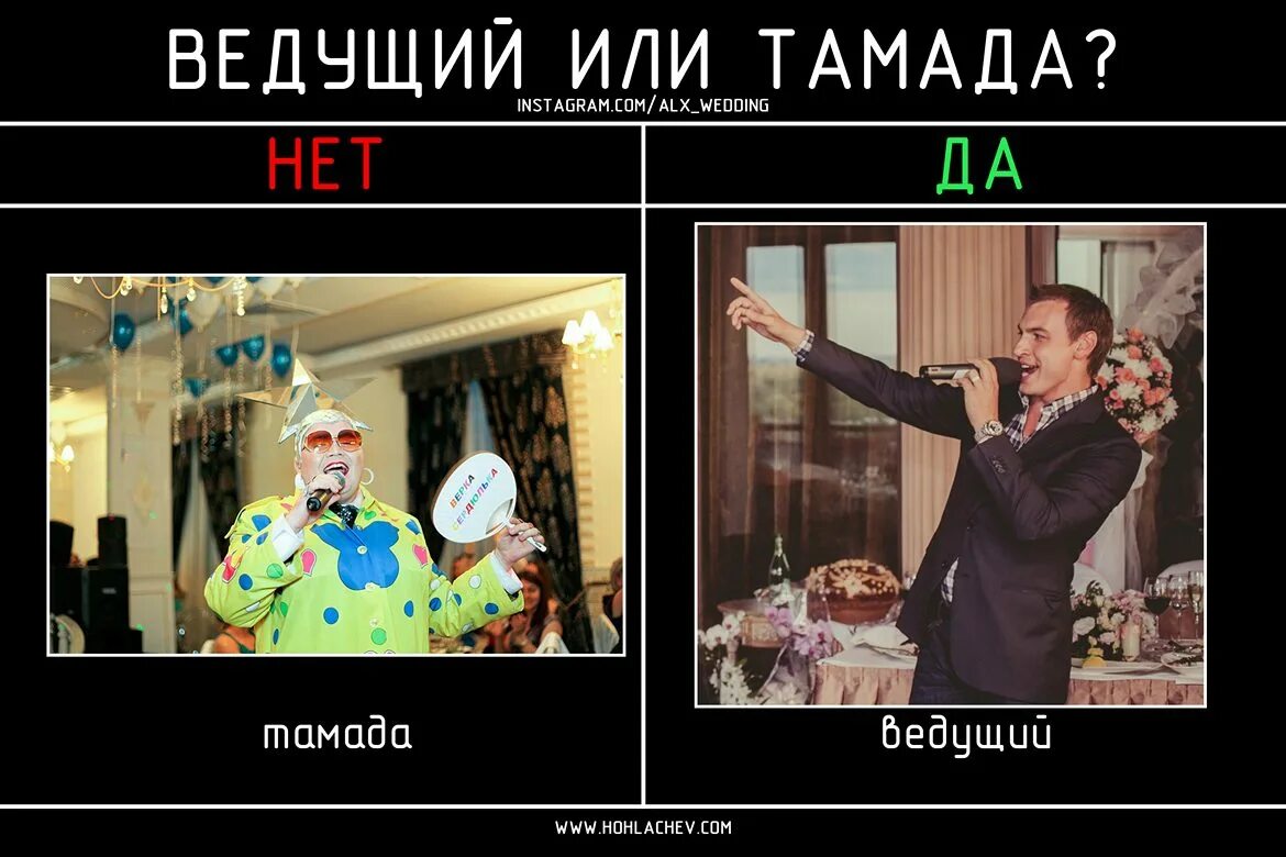 Тамада спид ап. Тамада спид ап