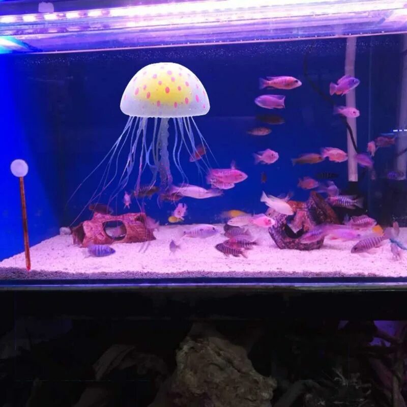 Медуза живая купить. Медуза в аквариуме искусственная. Светящийся аквариум. Аквариум с медузами. Аквариум светящийся с медузами.