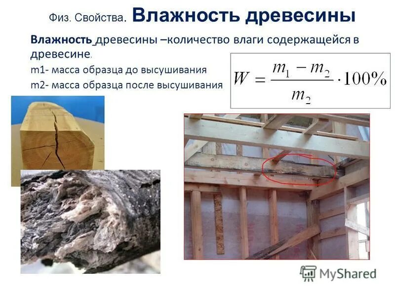 Количество влаги содержащейся в древесине. Устойчивая влажность древесины это. Формула влажности древесины 6 класс. Количество влаги содержащейся в древесине. Количество влаги содержащейся в древесине.