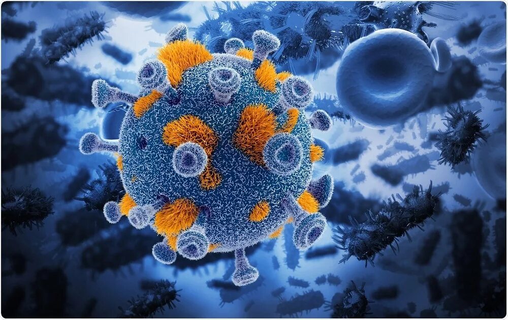 Онкологические клетки. Онурлогияеские ыирусы.. Www virus