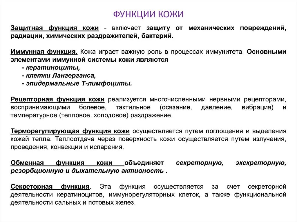 Какие функции выполняет образование кожи. Выписать функции кожи. Функции кожи 7 штук. Функции кожи выделительная и дыхательная функции кожи. Функции кожи обменная анализаторная.