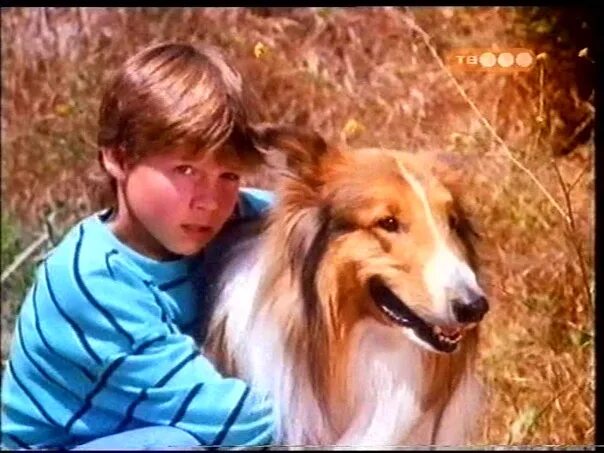 Pin on Lassie - History Classic Faithful TV Shows