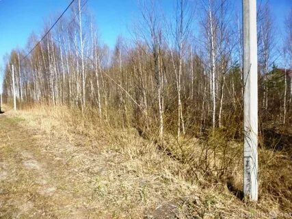 Снт родник продаю