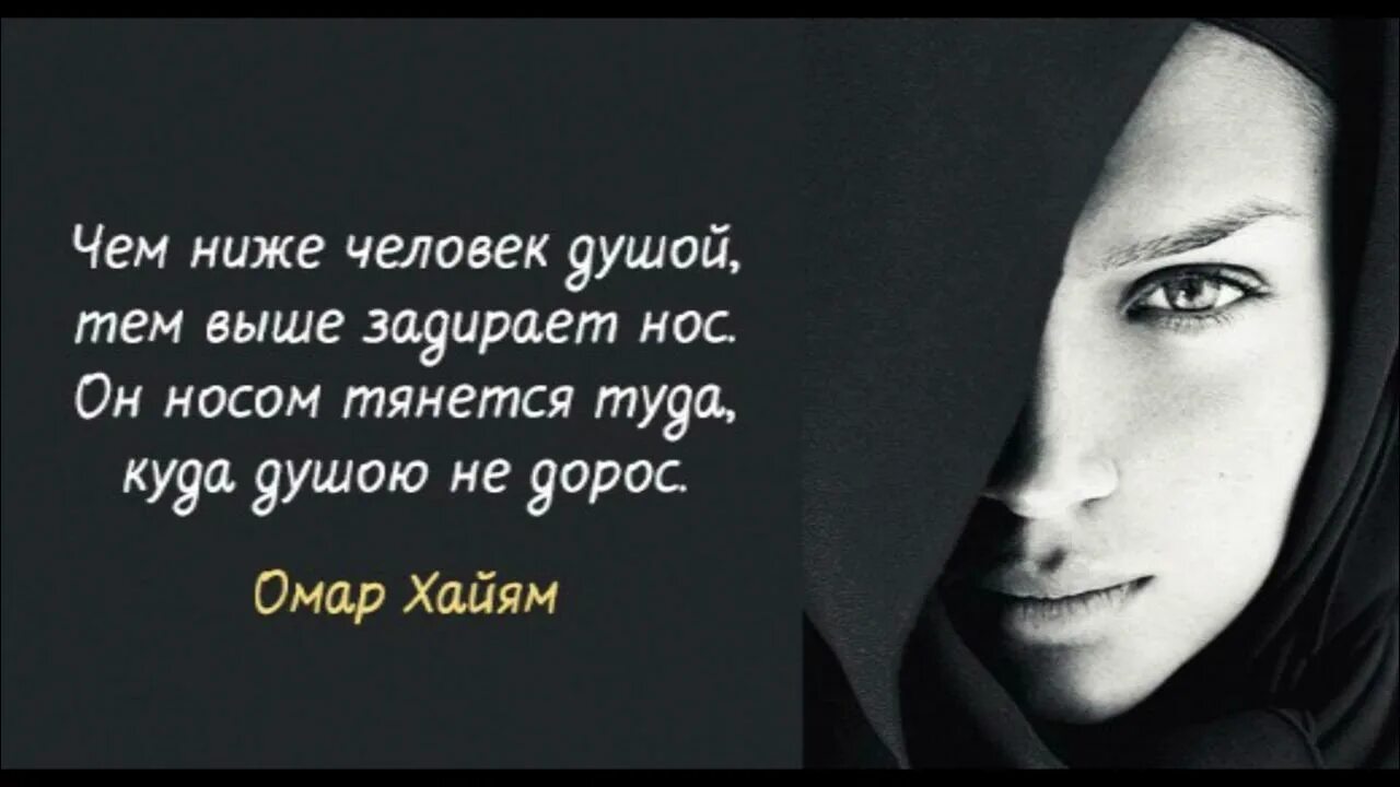 Цитаты про жизнь со смыслом красивые мудрые. Умные высказывания омара хайяма о жизни. афоризмы про черную душу. чем ниже человек душой цитата. цитаты со смыслом великих.