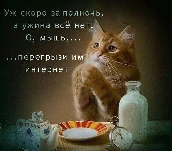 Добрый вечер картинка прикольная для поднятия настроения