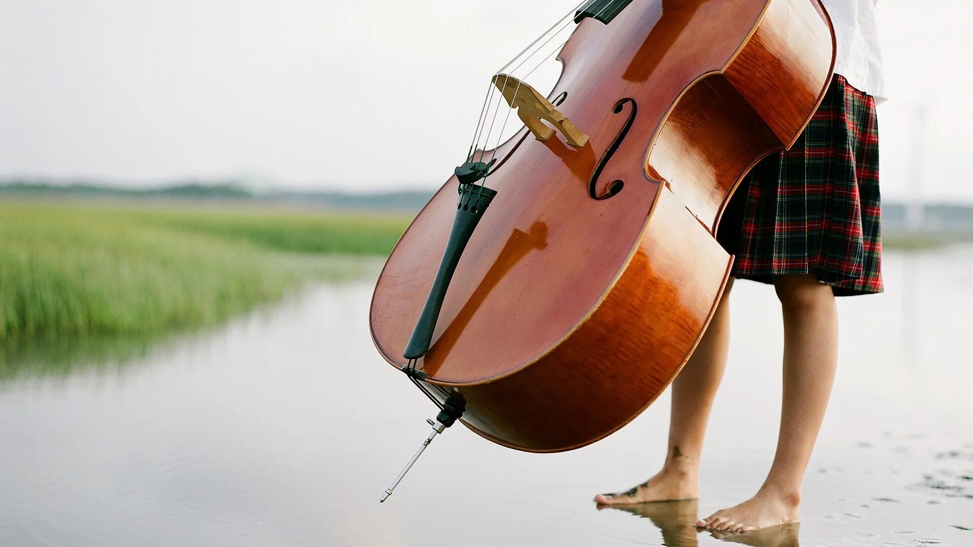 Контрабас музыкальный инструмент. Виолончель музыкальный инструмент. Необычные музыкальные инструменты. Скрипка на природе.