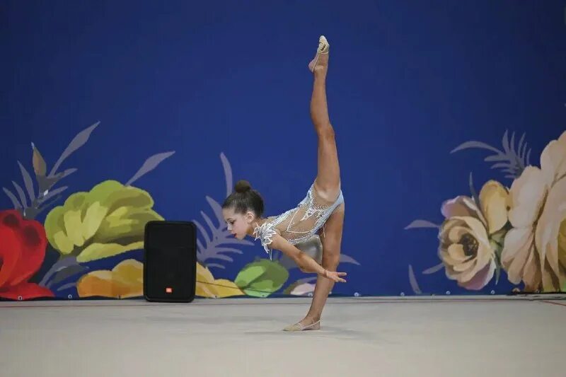 школа гимнастики виннер. академия винер художественная гимнастика. школа гимнастики виннер. гимнастика отрада. центр гимнастики ирины винер.