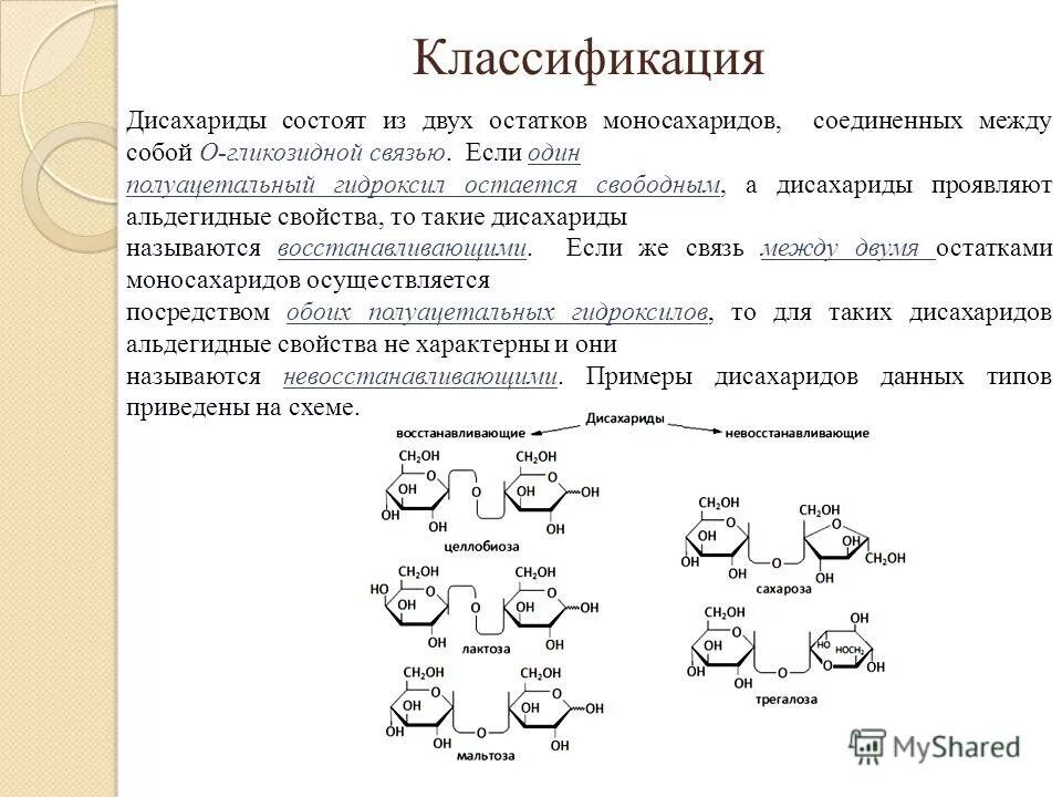 Бинокль состоит из. Винтовое соединение состоит. Последовательное и параллельное соединение проводников. Скелет плечевого пояса. Компьютер состоит из отдельных модулей.