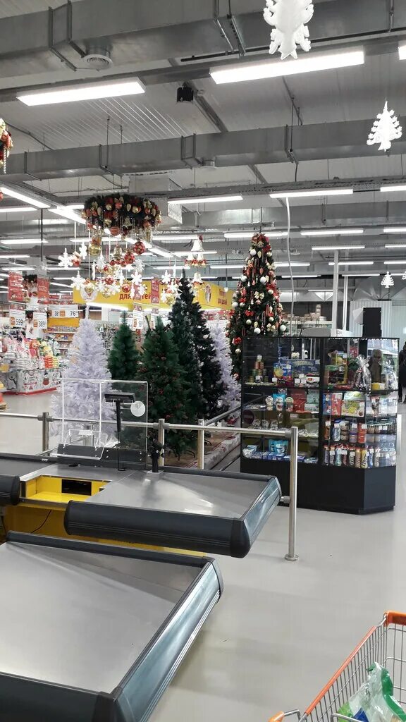 абсолют чита режим работы