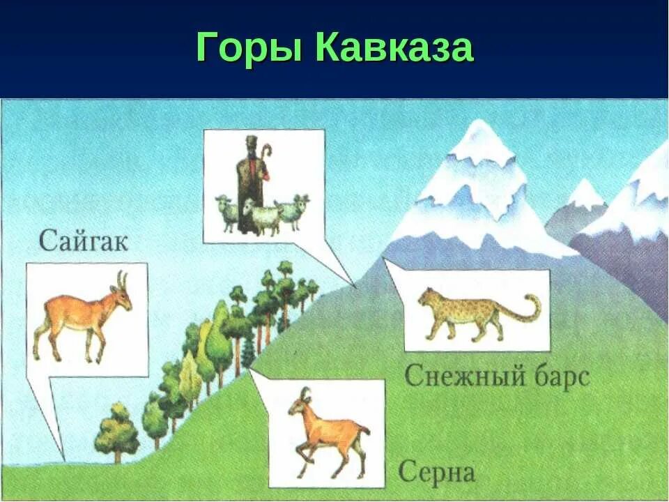 Кавказские горы презентация. Горы окружающий мир. Кавказские горы окружающий мир. Кавказские горы презентация 4 класс. Описание природы гор