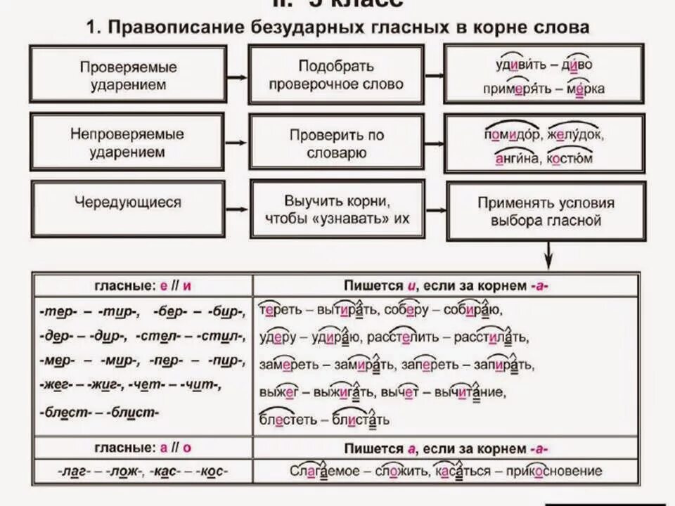 правописание документов. правило написания неизменяемых приставок. правильное написание слова окрестность. как правильно написать слово обидел. правописание безударной гласной в корне.