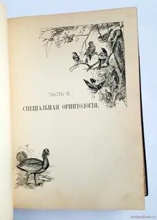 Холодковский