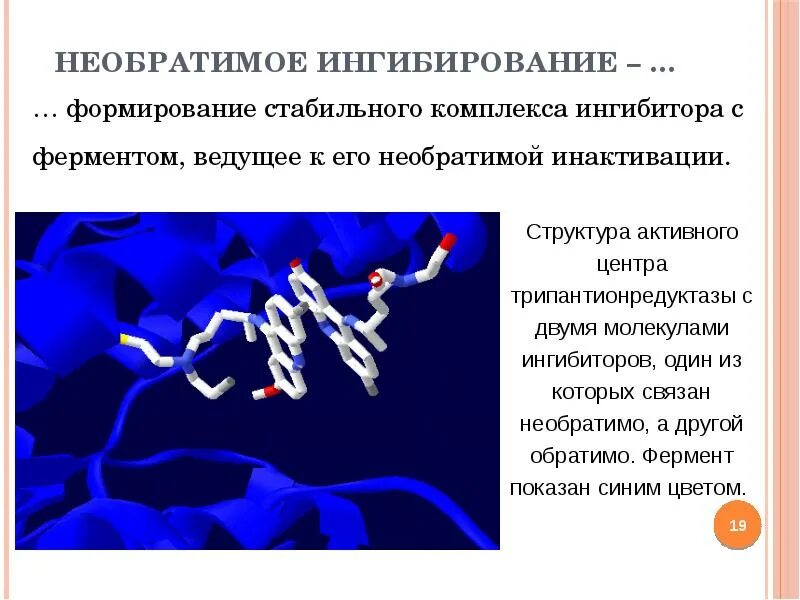 Концентрация ферментов и активность ферментов. Необратимое ингибирование. Необратимые ингибиторы ферментов. Необратимое ингибирование примеры. Необратимое ингибирование ферментов примеры.