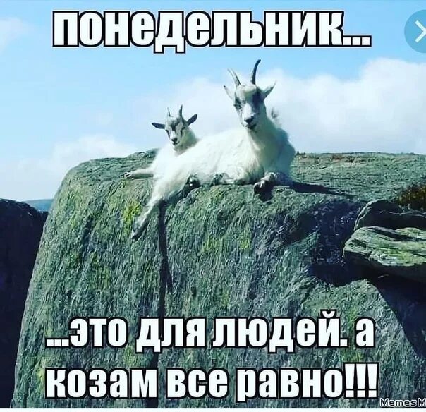 Скажите пожалуйста в каком году