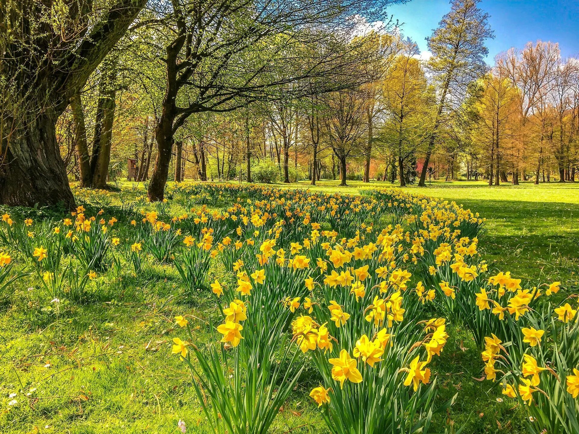 Springtime