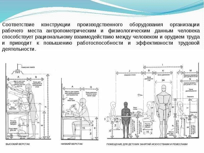 Эргономические показатели рабочего места офисного сотрудника. Антропометрические параметры рабочего места. Эргономика рабочего места антропометрические. Антропометрические характеристики при организации рабочего места. Мероприятия по организации рабочего места