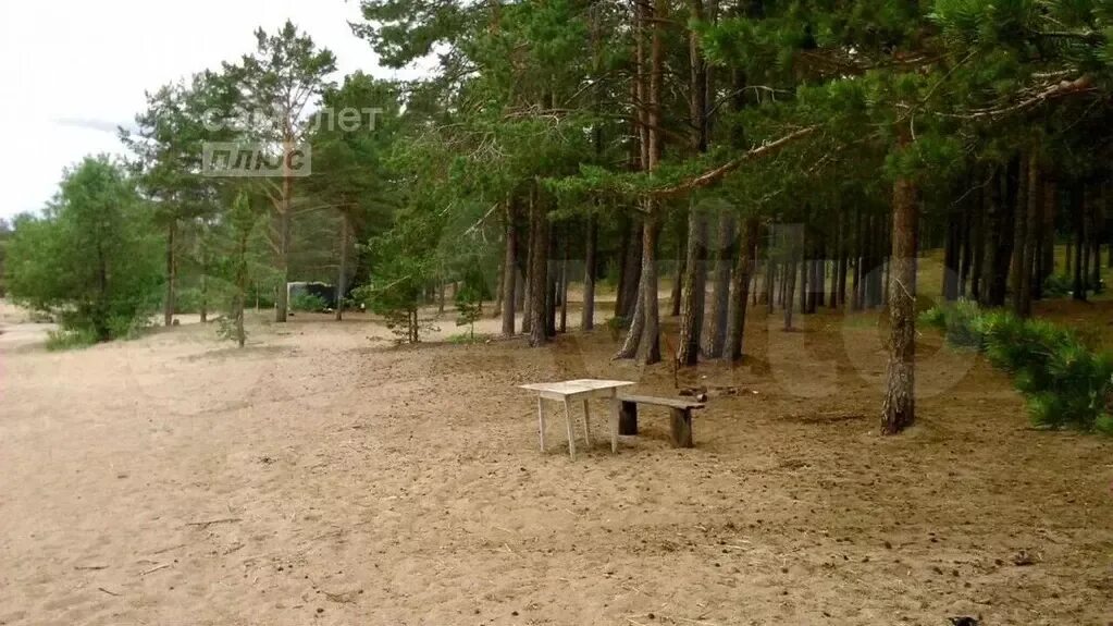 Большой бор выборг. Погода в большом бору ленинградской. Бор выборг. Большой бор выборг. Посёлок большой бор.
