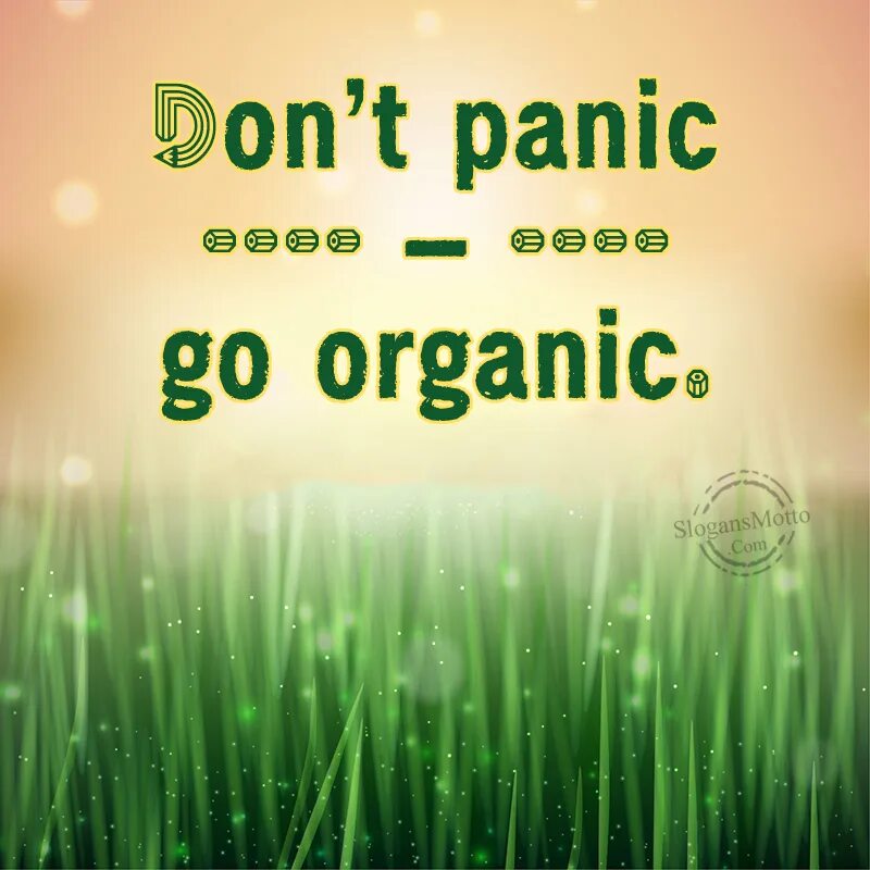 Don t play with me. Advertisement slogans. Slogan Organic Eco. Лозунги на английском. Слоганы о природе на английском.