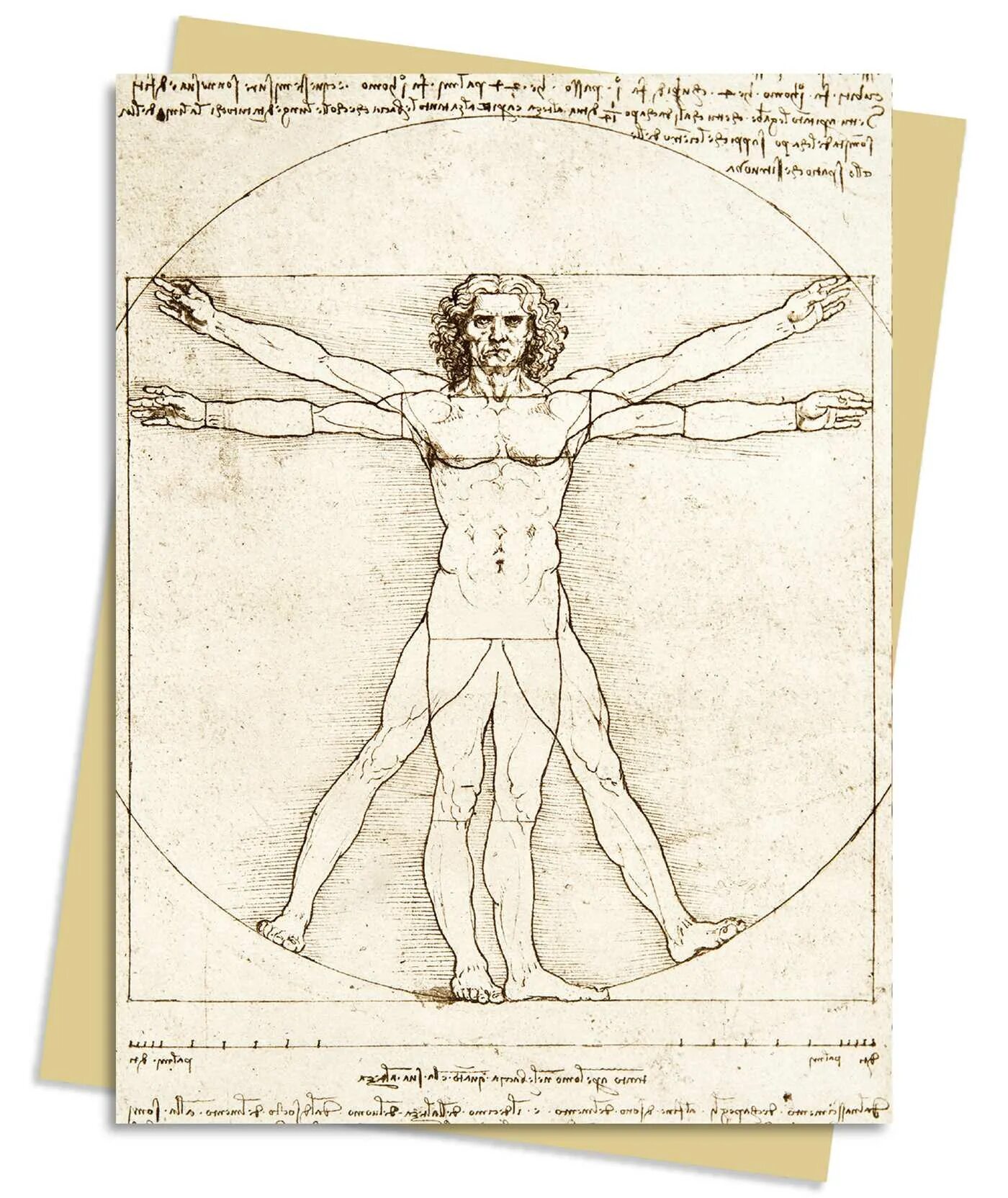 Da vinci man. Da vinci man. Картина леонардо да винчи витрувианский человек. Da vinci man. Человек леонардо да винчи.
