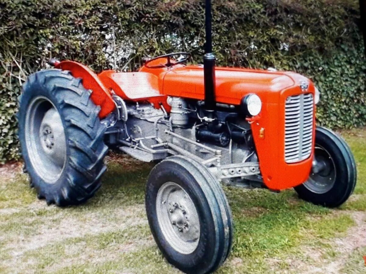 Трактора где купить. Трактор Фергюсон 533. Трактор Massey Ferguson 533. Эллис Чалмерс Traktor 1950. Трактор Massey Ferguson 1035di.