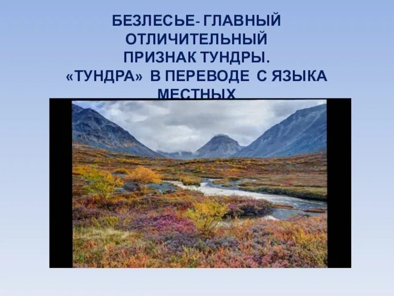 Тундра презентация. Тундра 4 класс окружающий мир. Проект про тундру. Тундра презентация 4 класс. Главной причиной безлесья в степной зоне является