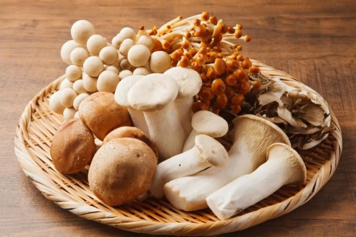 Грибы калорийные. Белковые грибы. Грибы калорийность. Самый калорийный гриб.