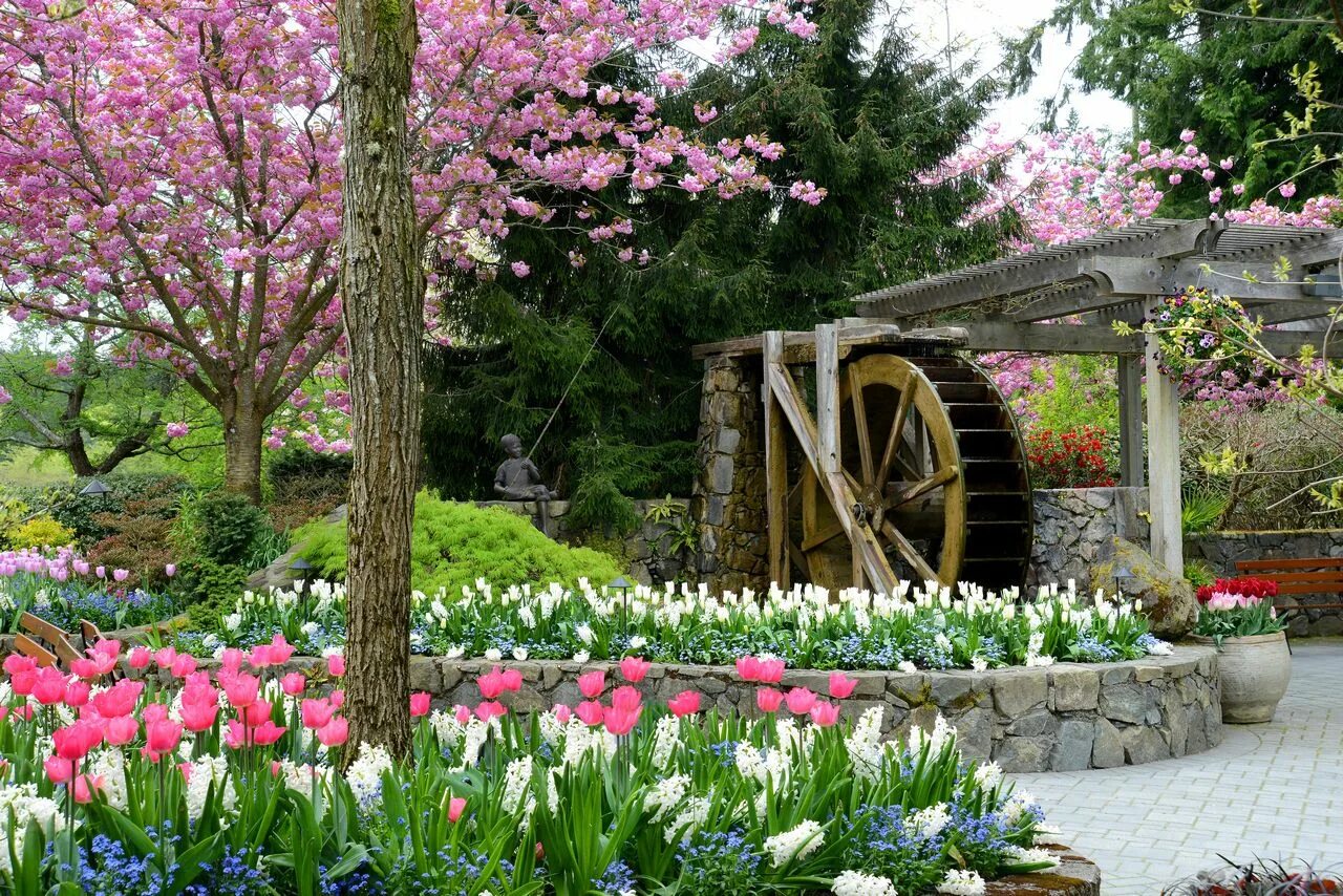 Картинка сад. Сады Бутчартов Канада. "Сады Бутчартов (the Butchart Gardens) Ванкувер, Канада. Сады Бутчартов в Канаде японский сад. Сад Бутчартов в Канаде розовый сад.