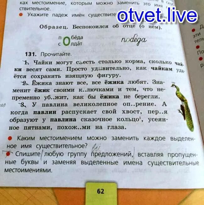 Чайки могут съесть столько корма. Чайки могут съесть столько корма сколько Чайки весят. Предложение со словом павлиний. Морфологический разбор слова Чайки могут съесть столько корма. Чайки могут съесть столько корма сколько они весят сами просто у.