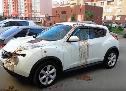 Насрали 18