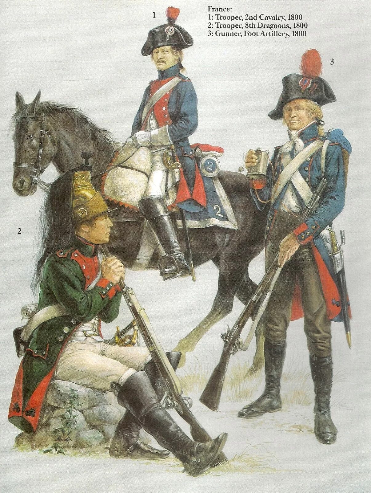 Французская пехота наполеоновских войн. Французская армия 1799. Французские карабинеры Наполеона. Гвардейские драгуны императрицы Наполеона.
