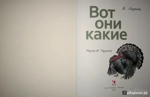 Книга вот они какие
