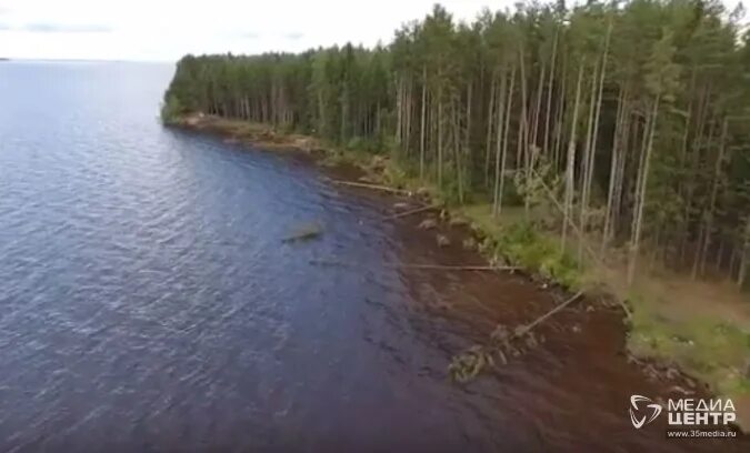 Русгидро уровень воды в рыбинском водохранилище. Милюшино Рыбинское водохранилище. Острова Трясье Рыбинское водохранилище. Милюшино Рыбинское водохранилище пляж. Бобарино Рыбинское водохранилище.