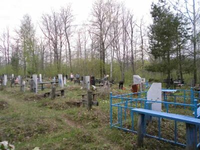 Погода в шатурторфе на неделю