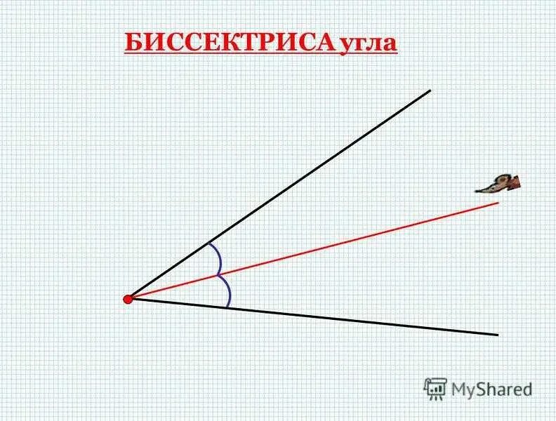 Ое биссектриса. Биссектриса угла. Антибиссектриса. Биссектриса тупого треугольника. Биссектриса острого угла.