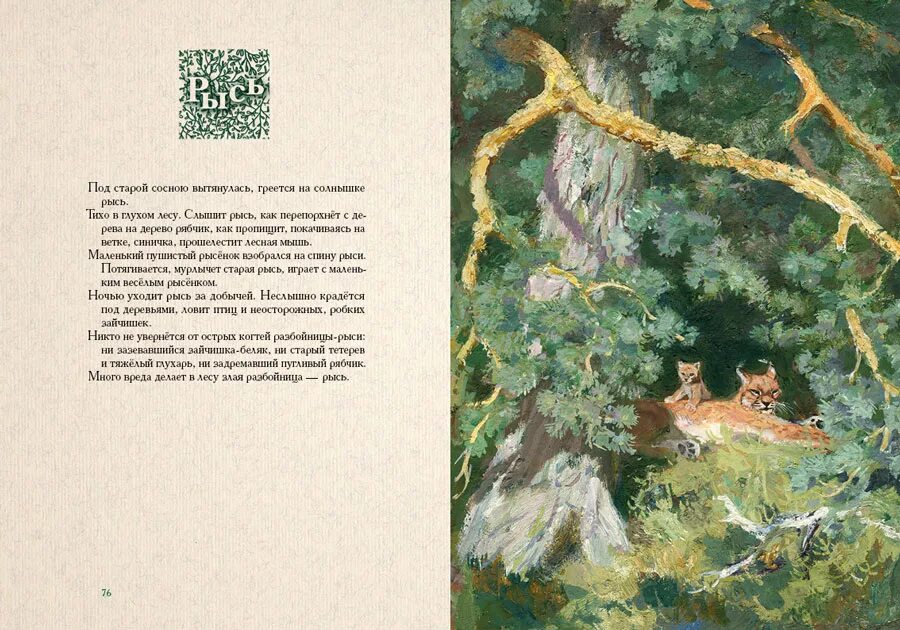 Тема и основная мысль текста. Сочинение про художника. У старой сосны план. Зеленые страницы первые бабочки. В дупле живет.